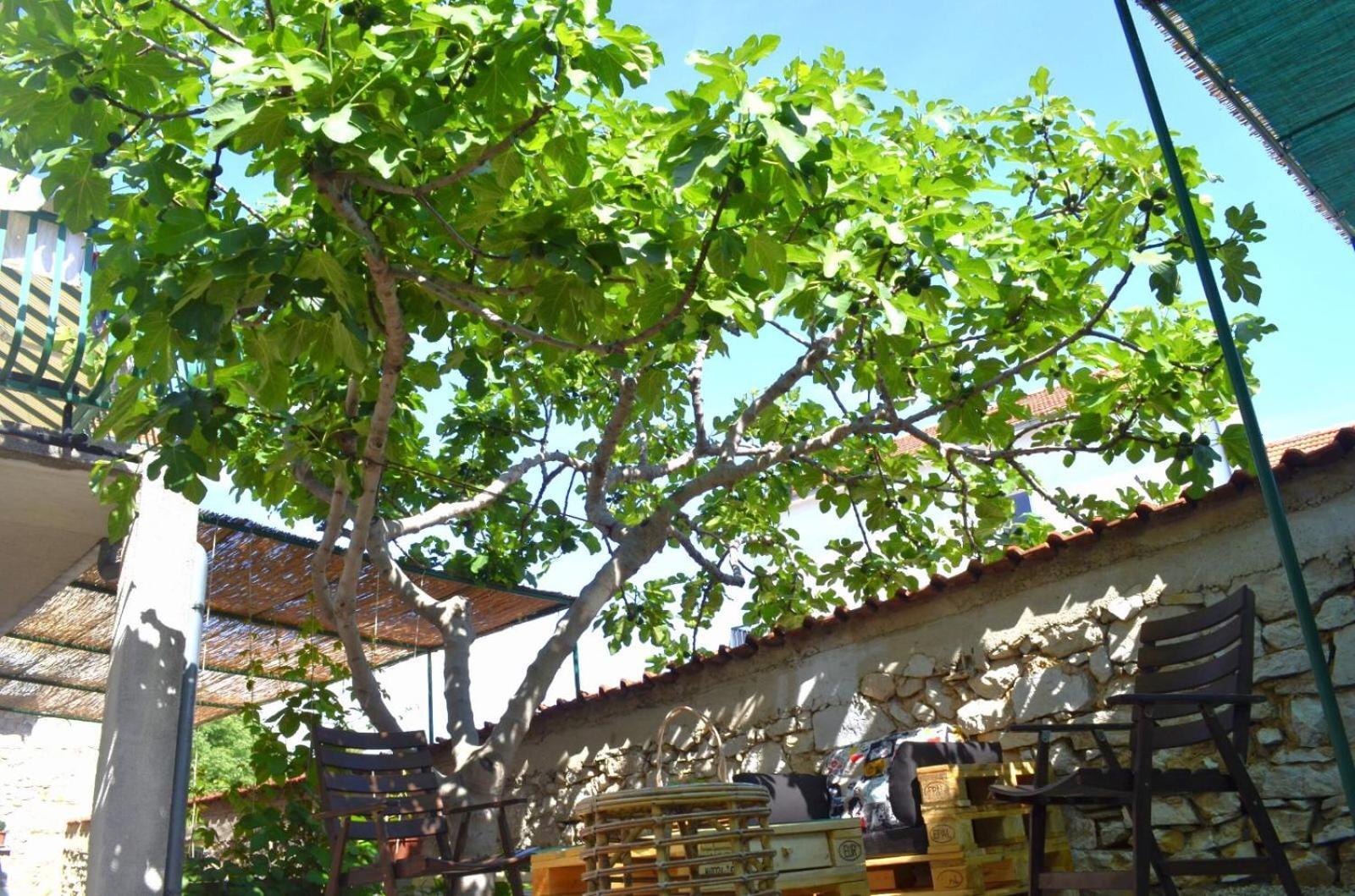Apartmani Spanja Vodice Esterno foto